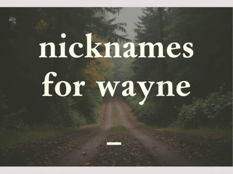 Wayne Nicknames
